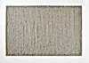 Andes Feather